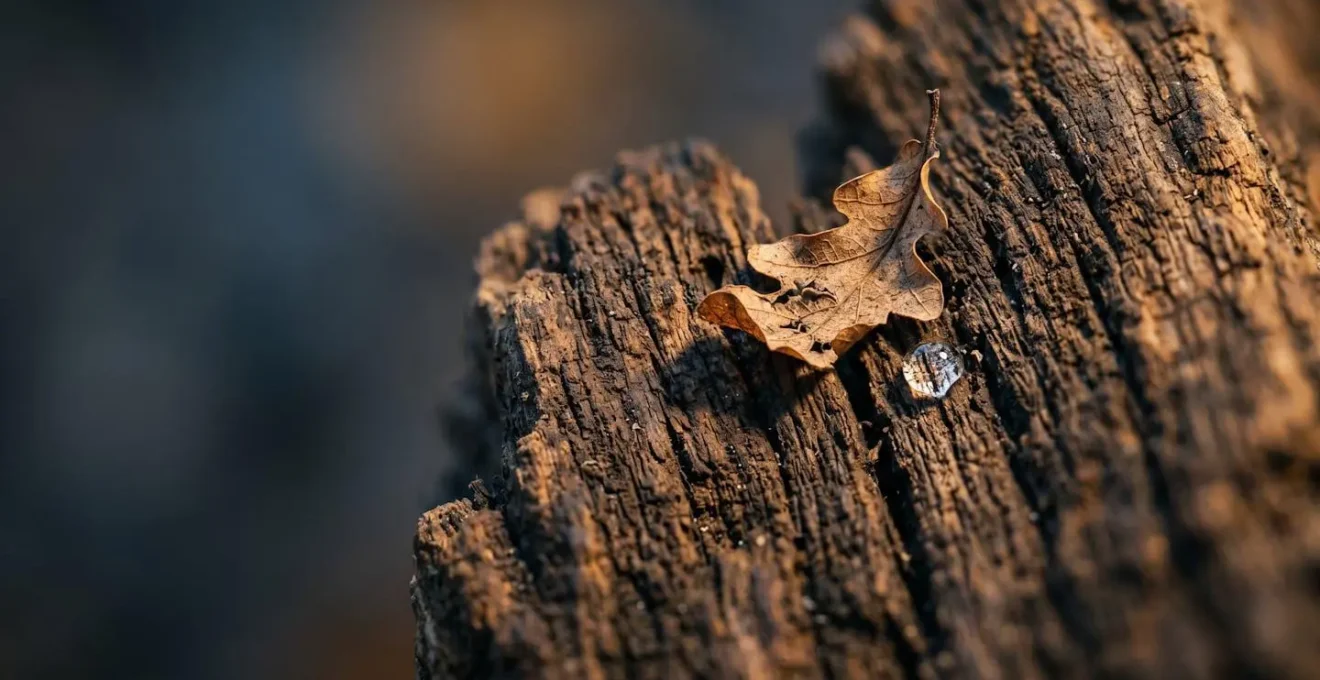 Scène minimaliste évoquant le passage du temps et la planification avec des éléments naturels