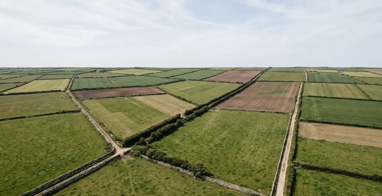 Vue aérienne abstraite d'un terrain délimité illustrant l'approche de vérification cadastrale
